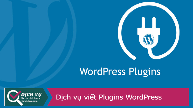 Dịch vụ viết plugin, tính năng cho website WordPress